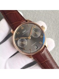 IWC Portuguese IW500702 Leather Strap WT01283